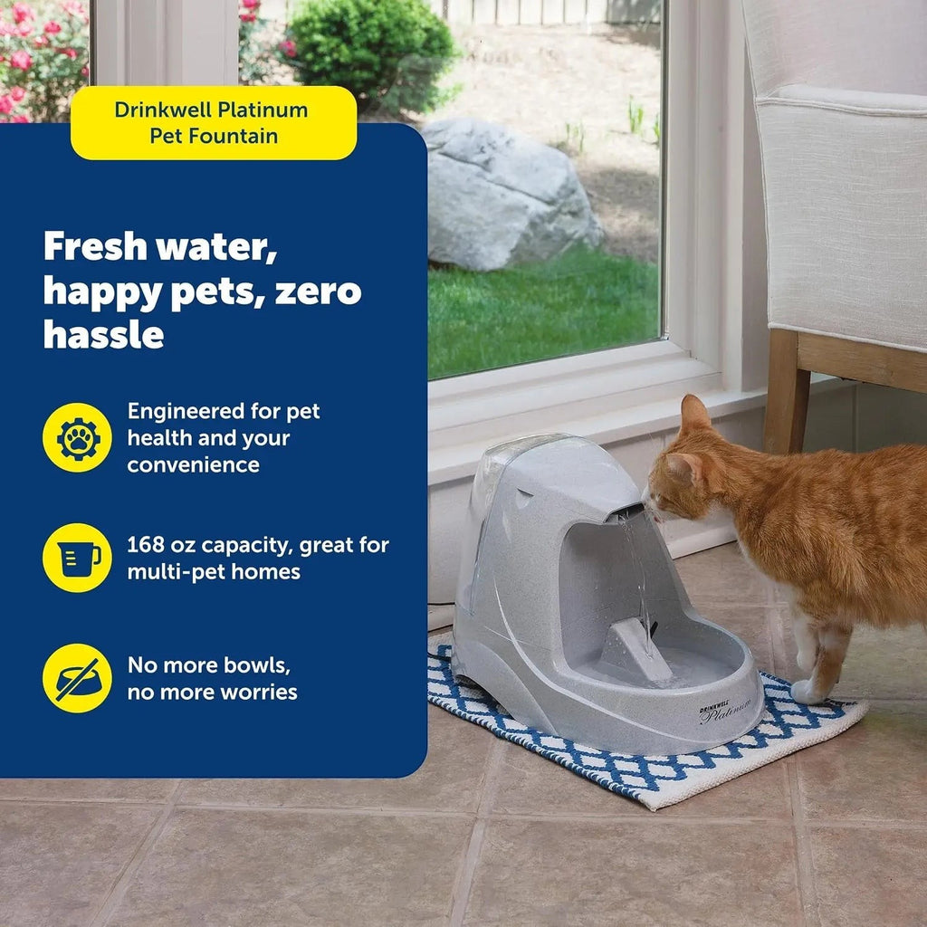 168oz Automatic Pet Water Fountain, Cat & Dog Drinking Dispenser, Grey