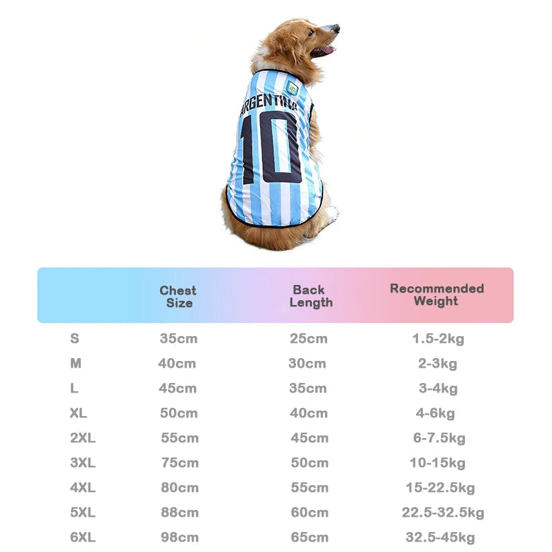 Sport Mesh Jersey