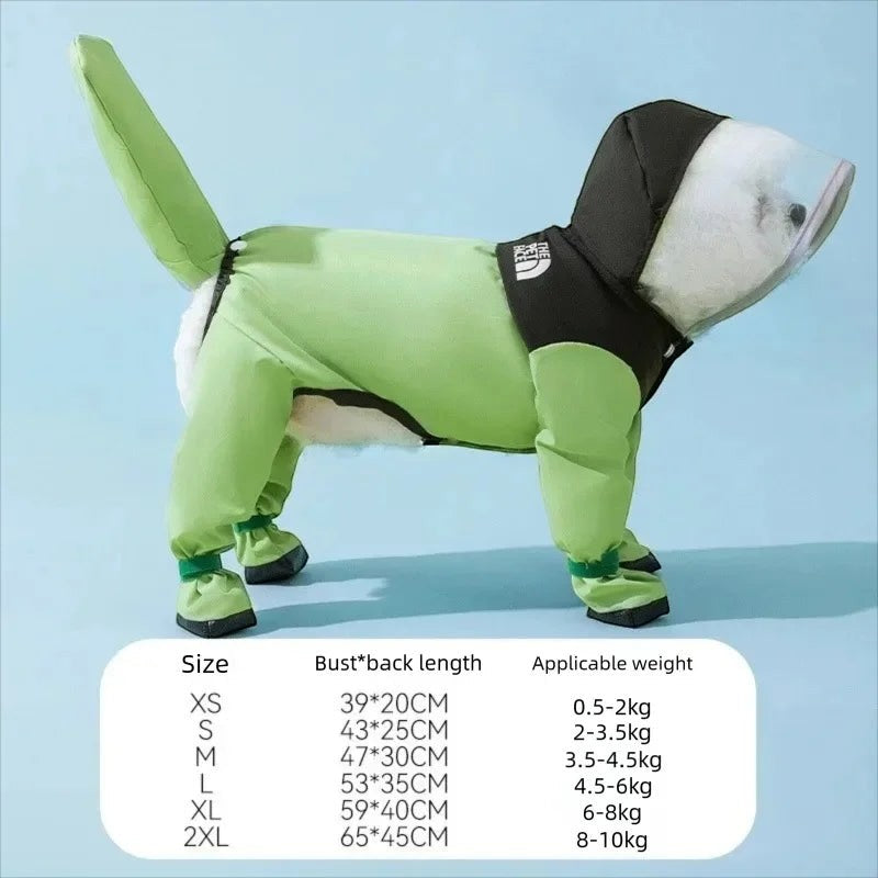 Dino Raincoat