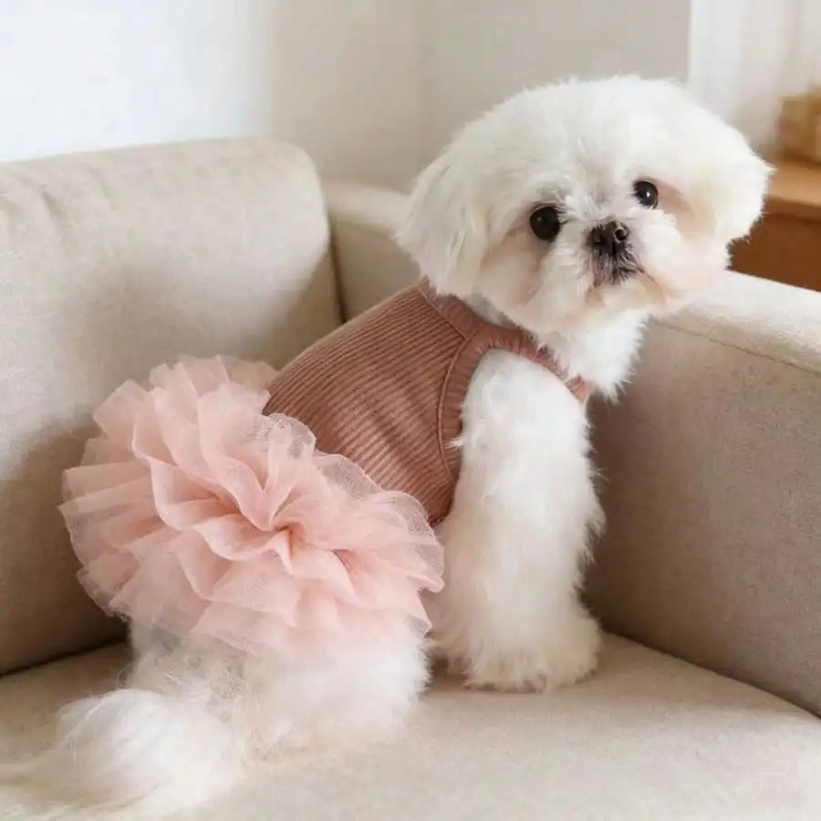 Ballet Tulle Dress