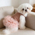 Ballet Tulle Dress