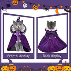 Wizard Cloak Set