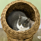 Rattan cat basket, cat cave, cat house, cat bed with cushion, pet bed, water hyacinth, brown, 42 x 33 x 52 cm