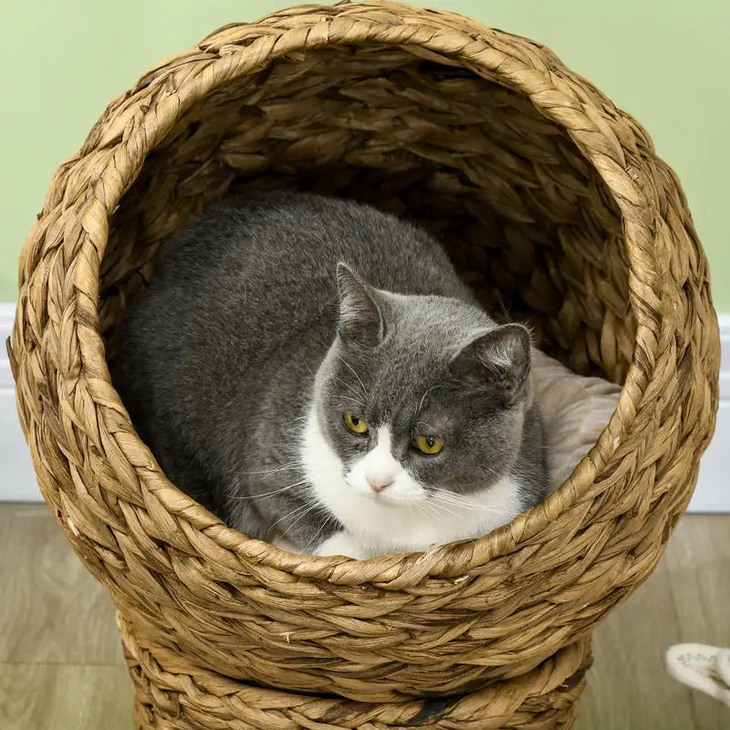 Rattan cat basket, cat cave, cat house, cat bed with cushion, pet bed, water hyacinth, brown, 42 x 33 x 52 cm