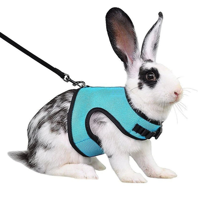 Mincy Pets Breathable Vest Harness & Leash Set for Rabbits product photo.
