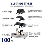 Elevated Dog Sofa Bed with Removable Cushion