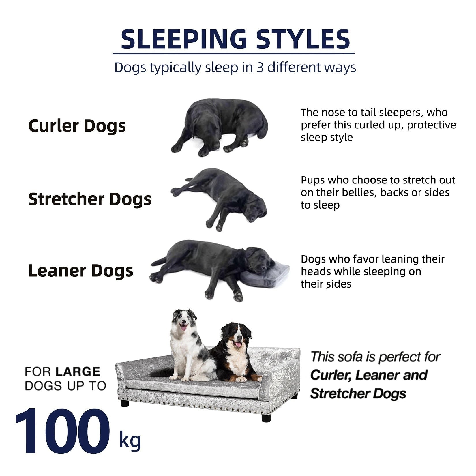 Elevated Dog Sofa Bed with Removable Cushion