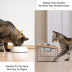 Elevated Cat Bowls 15° Tilted Raised Cat Food Bowls with Wooden Stand Anti Vomiting 2 Stainless Steel Bowls and Mat Set for Cats Puppy