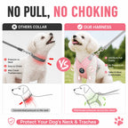 Dog Harness Leash Set Reflective Adjustable Pet Vest Harness with Metal D Ring Breathable Puppy Cat Walking Chest Strap Supplies