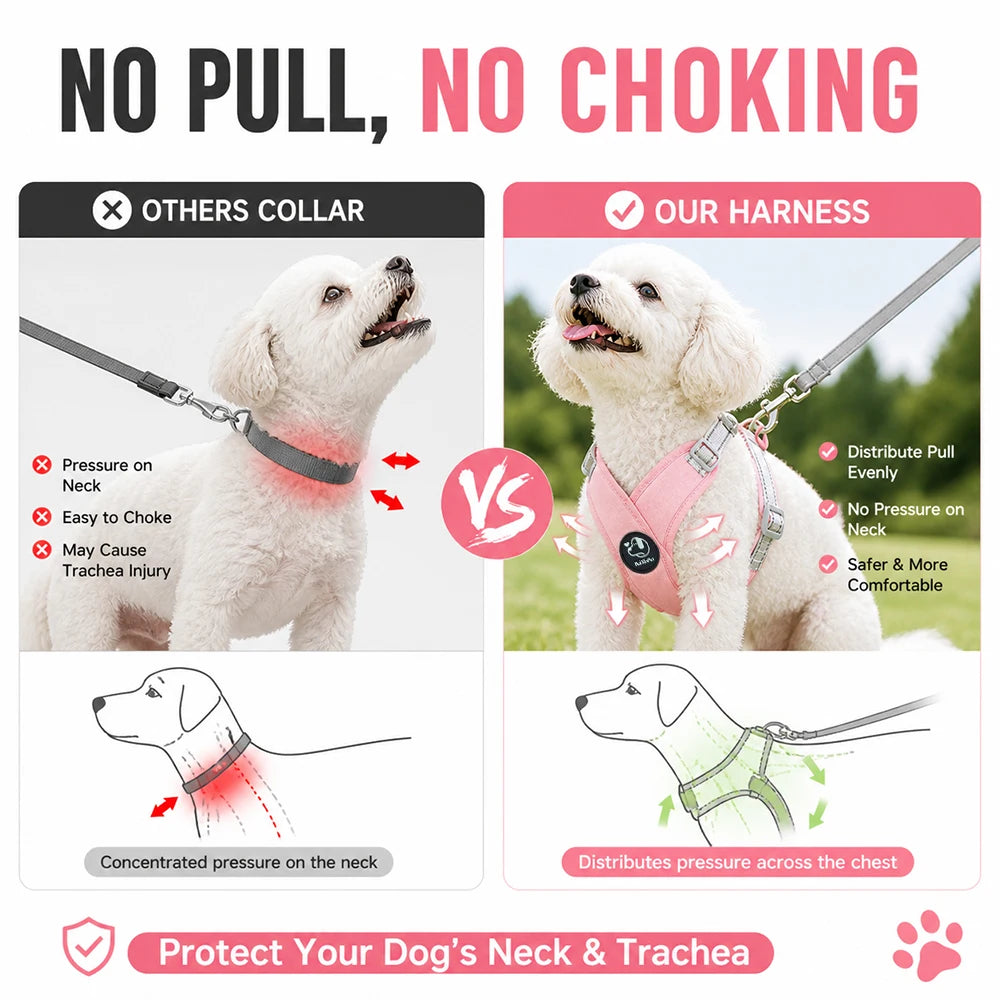 Dog Harness Leash Set Reflective Adjustable Pet Vest Harness with Metal D Ring Breathable Puppy Cat Walking Chest Strap Supplies