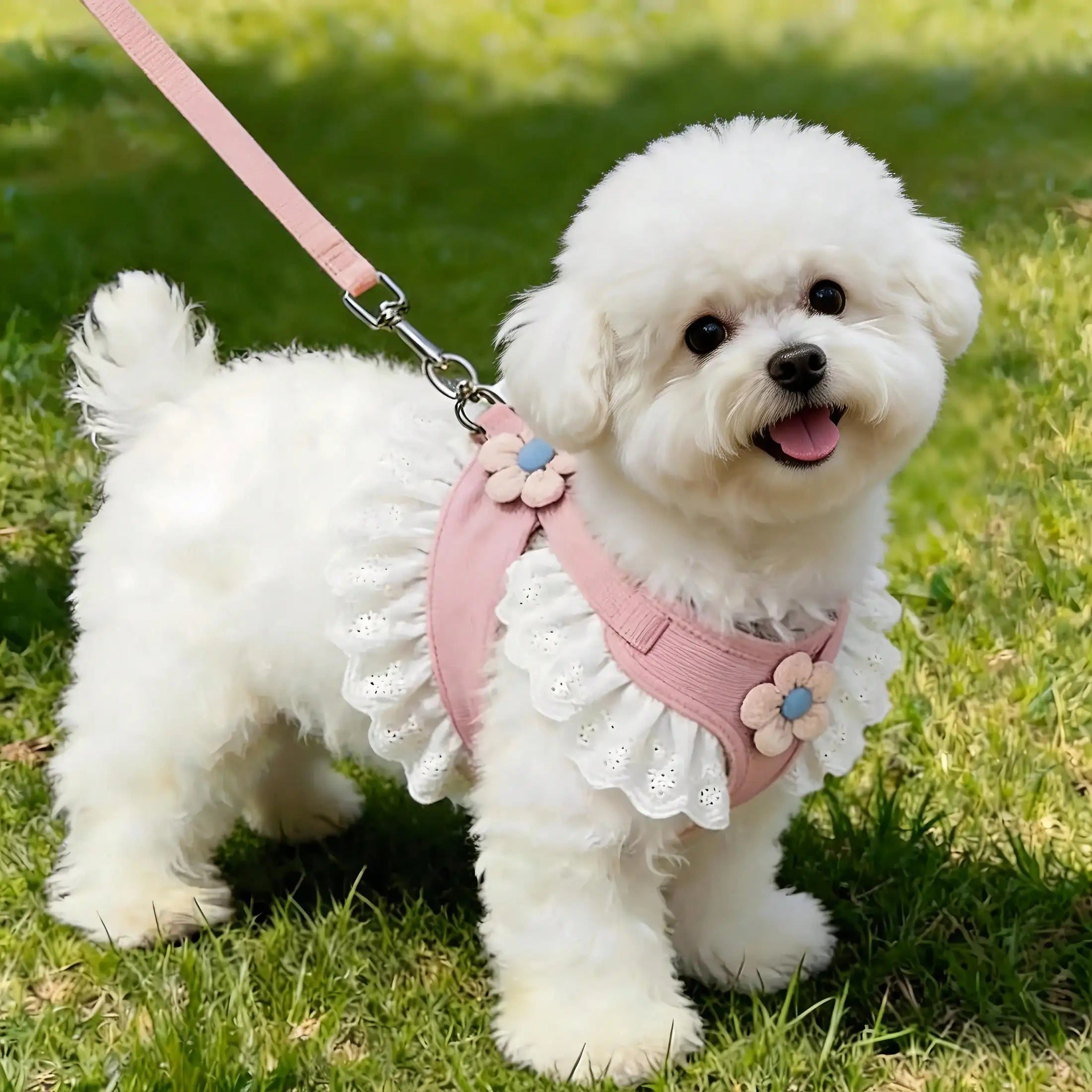 Floral Lace Pet Harness Dress with Matching Leash, Ruffle Princess Style, Breathable Fabric. Cute decorative outfit for small dogs and cats, comfortable walking harness for outdoor strolls, photo shooting and daily wearing