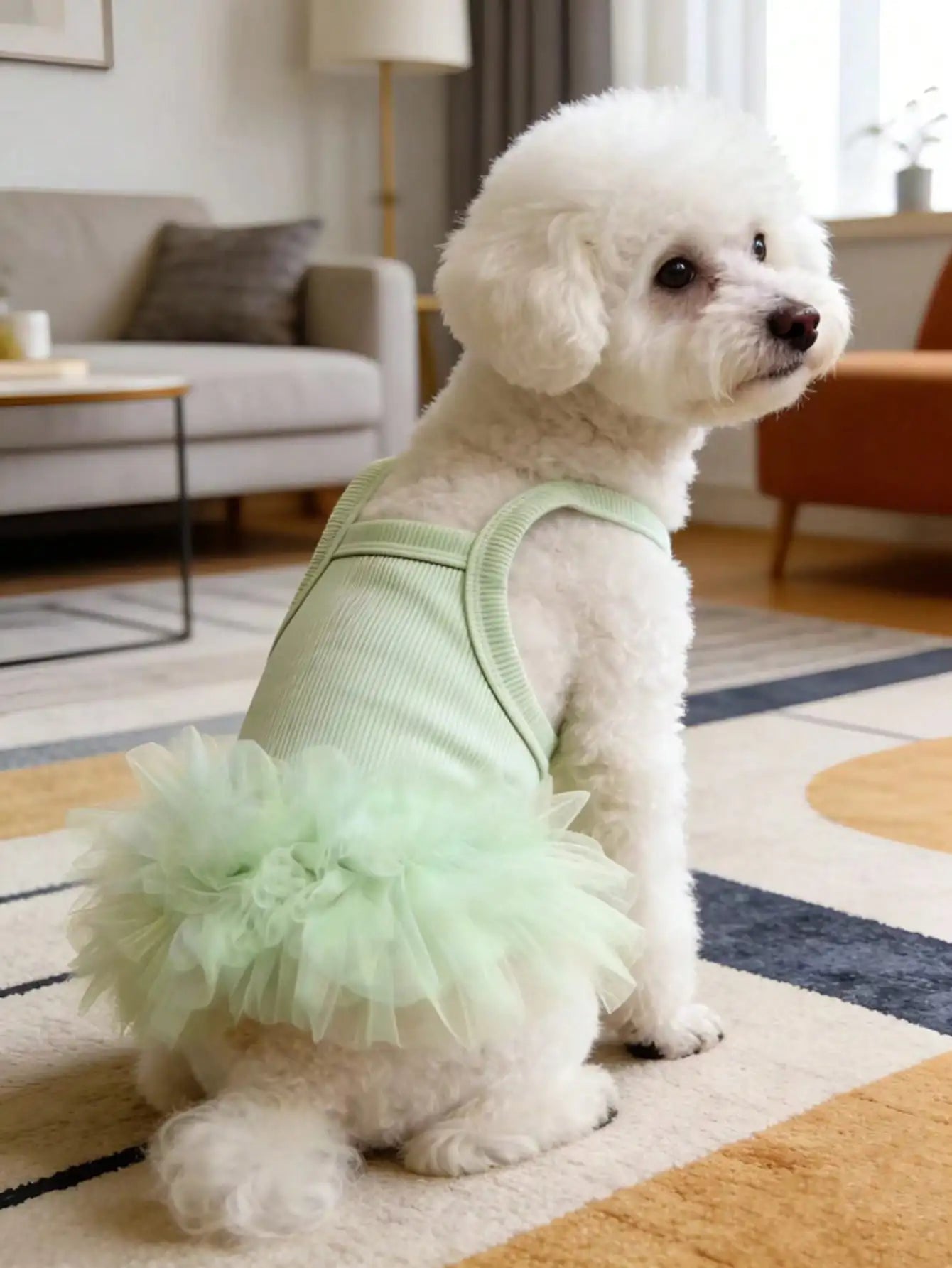 Ballet Tulle Dress