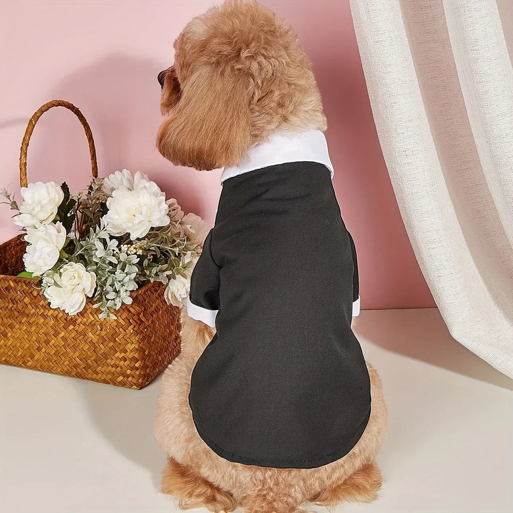 Black Tie Suit