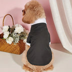 Black Tie Suit