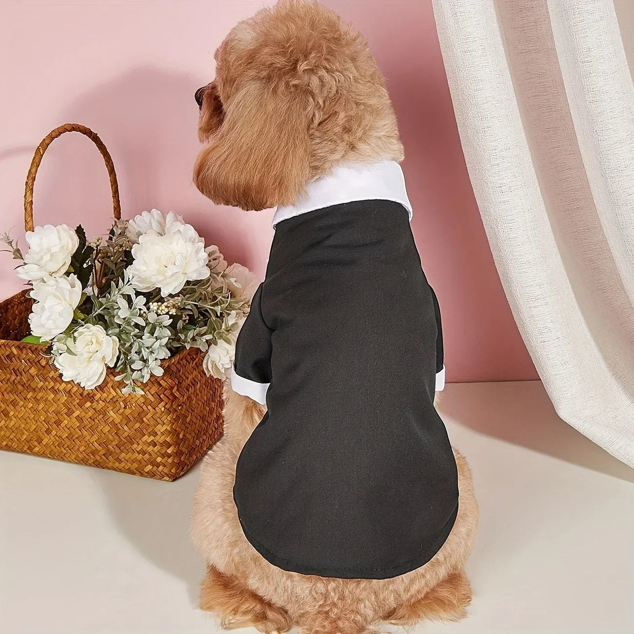 Black Tie Suit