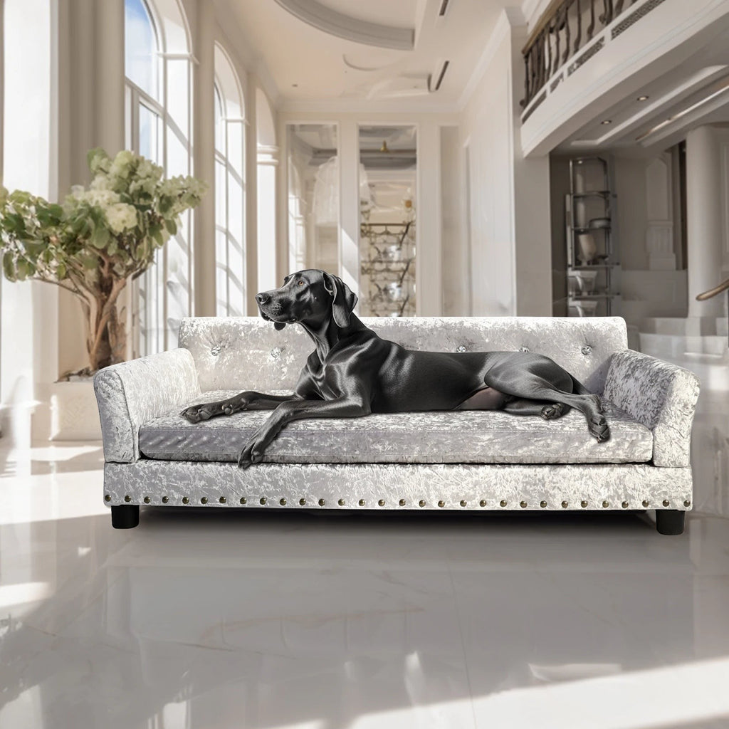 Elevated Dog Sofa Bed with Removable Cushion