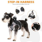 Small Dog Harness and Leash Set, Cute Puppy Harness, Step in No Pull Soft Mesh Pet Vest Harness Collar for Small Size Dogs Cats
