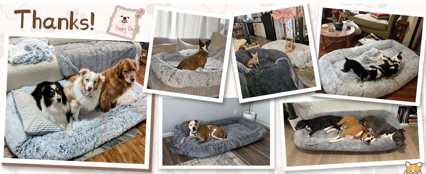 Kromax 71x43x10 Large Human Dog Bed for Adults Orthopedic Washable Cover Light Grey