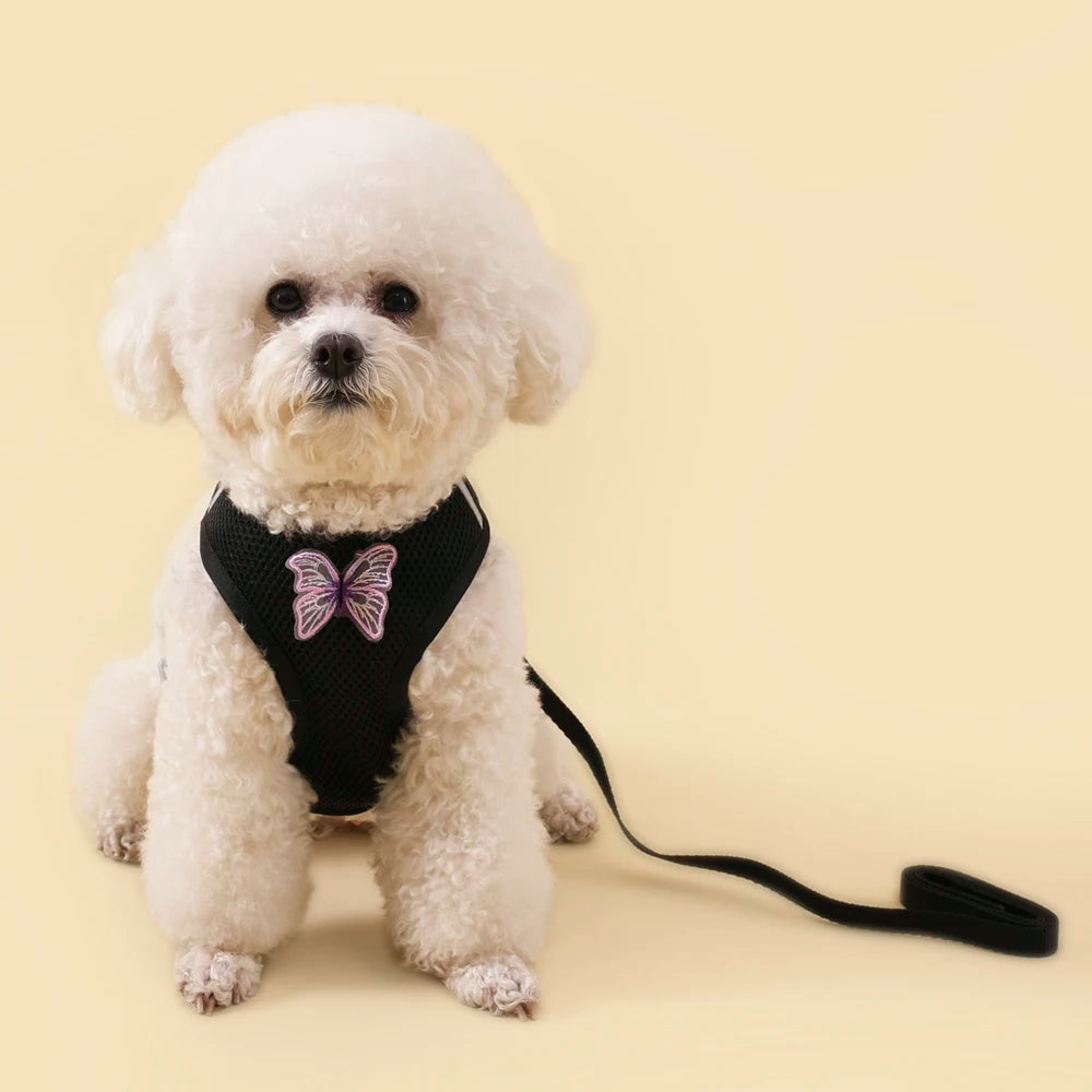 New Breathable Cute Cat Harness Set Butterfly Small Dog Harness Set Walk Outdoors Puppy Chest Vest Leash Accessories