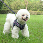 Small Dog Harness Leash Set Cute Traction Bracelet Medium Cat Collar Suit Soft Puppy Vest Harness Adjustable Pet Accessories
