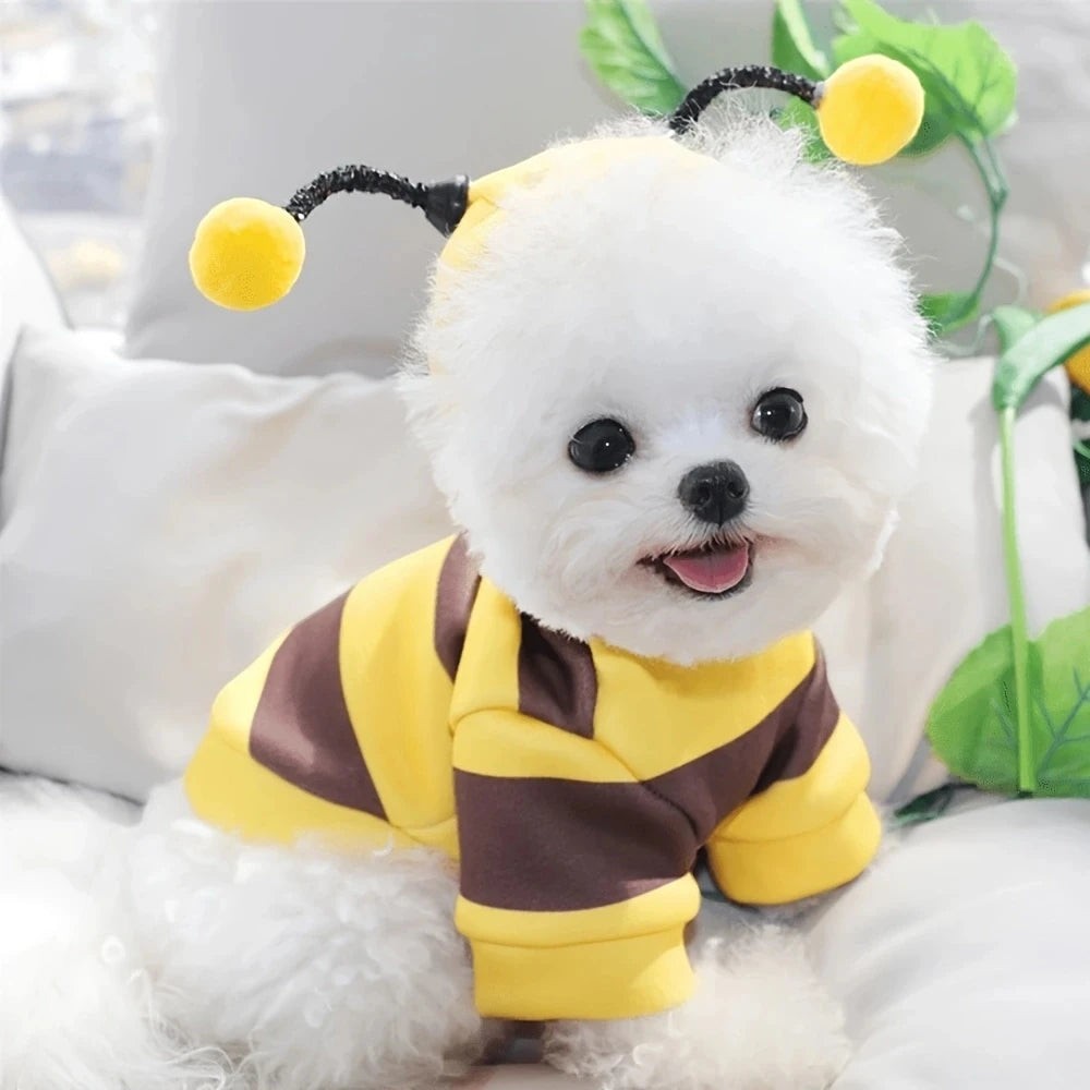 Little Bee Hoodie