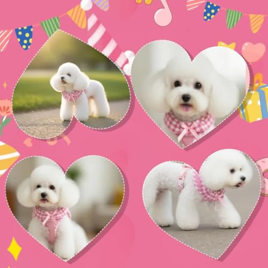 Cute Dog Harness Collar Leash Set - Girl Dog Harness Checke Step-in Design, Detachable Bow Pet Collar, Adjustable No-Choke Ligh