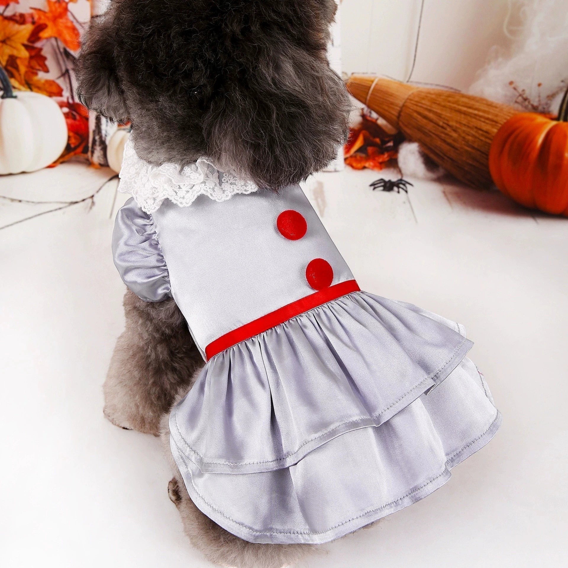 Storybook Wizard Costume