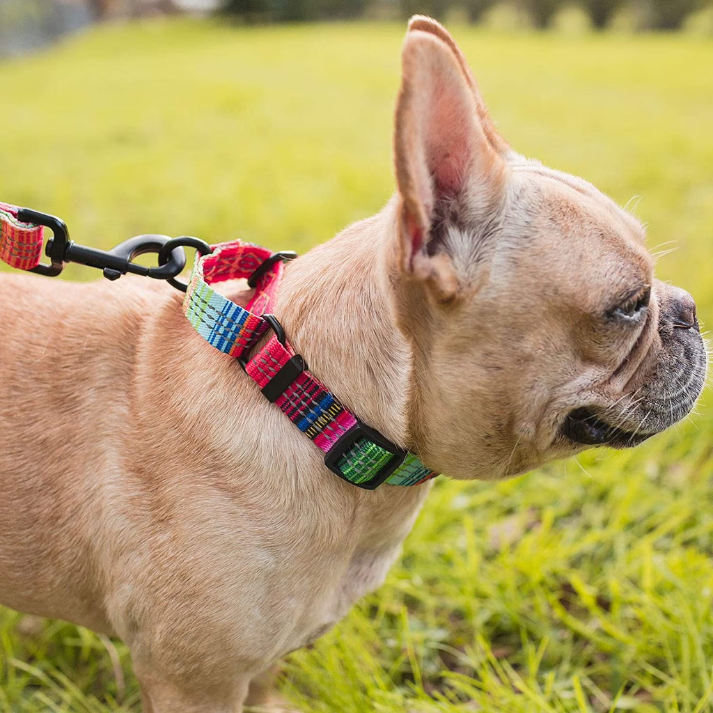 Leashboss Pattern Martingale Dog Collar, Reflective No-Pull Training Collar, Pattern Collection | Orange Med-Large