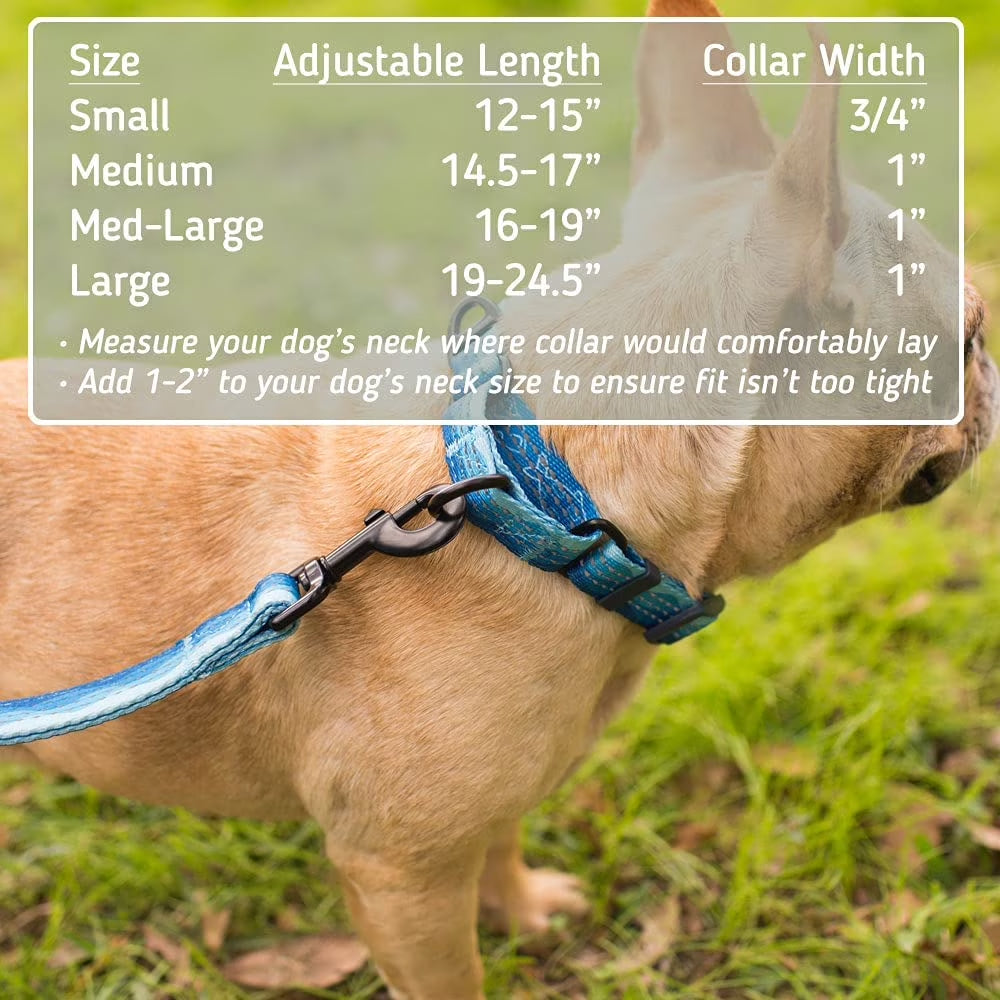 Leashboss Pattern Martingale Dog Collar, Reflective No-Pull Training Collar, Pattern Collection | Orange Med-Large