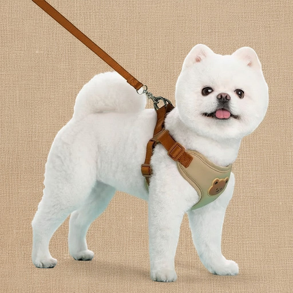 Mincy Pets beige breathable polyester dog harness with cute bear pattern and matching leash on a white dog