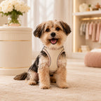 Mincy Pets beige linen step-in dog harness with soft mesh lining and reflective trim worn by a small puppy