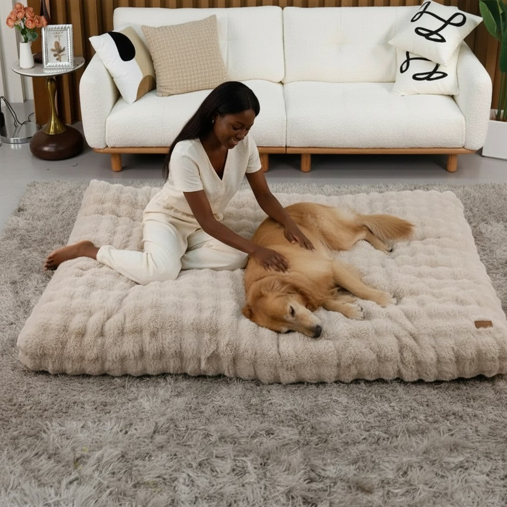Mincy Pets extra large plush dog bed in beige with a woman petting a golden retriever on a living room rug