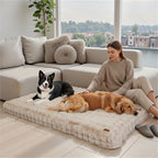 Mincy Pets ultra-plush beige dog bed with a woman sitting on it alongside two dogs in a bright living room