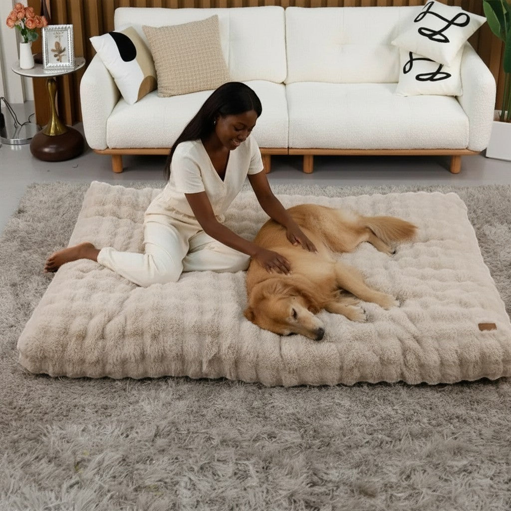 Mincy Pets extra large plush dog bed in beige with a woman petting a golden retriever on a living room rug