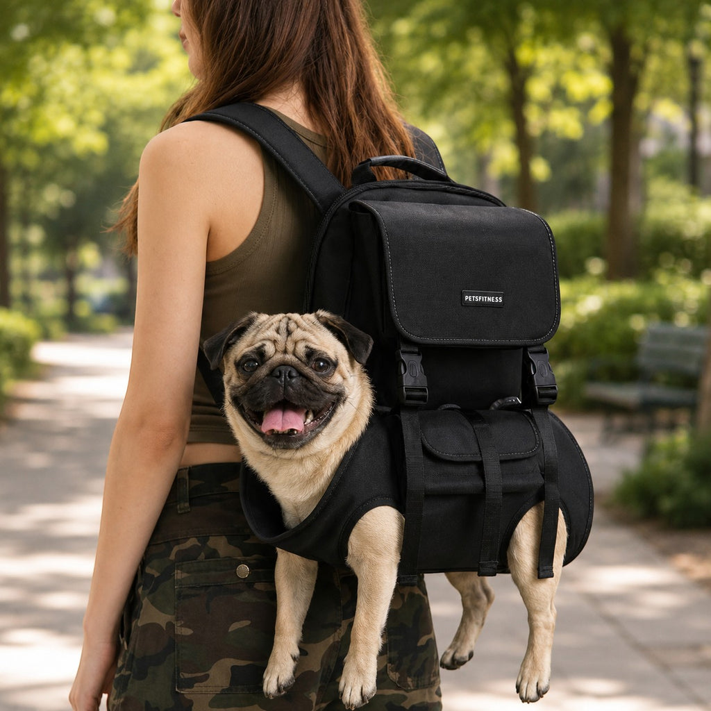 Mincy Pets black ergonomic dog carrier backpack with a pug inside, worn by a woman on a park path for hands-free travel.
