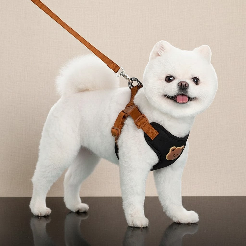 Mincy Pets breathable black dog vest harness with a cute bear patch and matching brown leash on a white Pomeranian