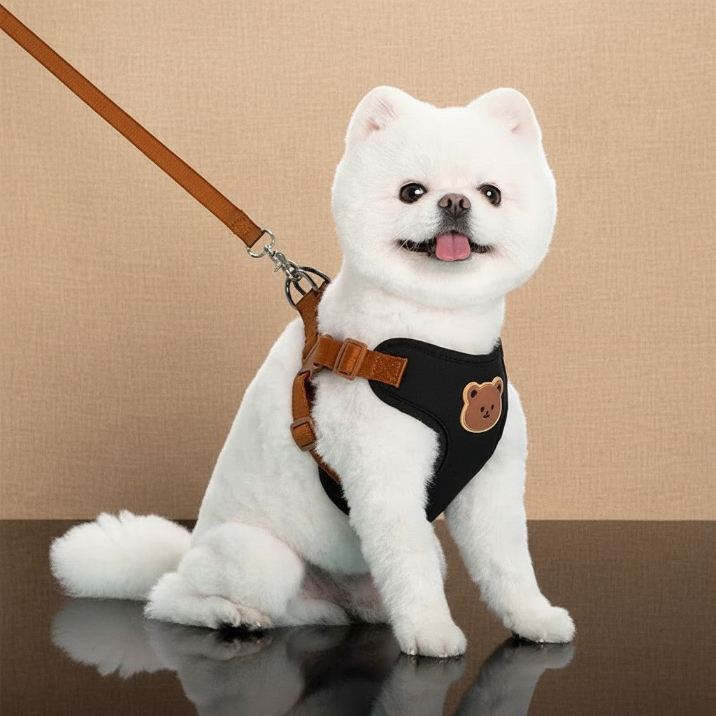Mincy Pets dog harness and leash set in black with a cute bear patch, worn by a white fluffy dog on a brown surface.