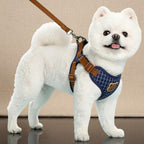 Mincy Pets breathable blue plaid dog harness with a cute bear patch and brown straps on a white fluffy dog