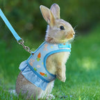 Mincy Pets blue breathable mesh rabbit harness with carrot print and skirt, featuring an adjustable leash for small pets