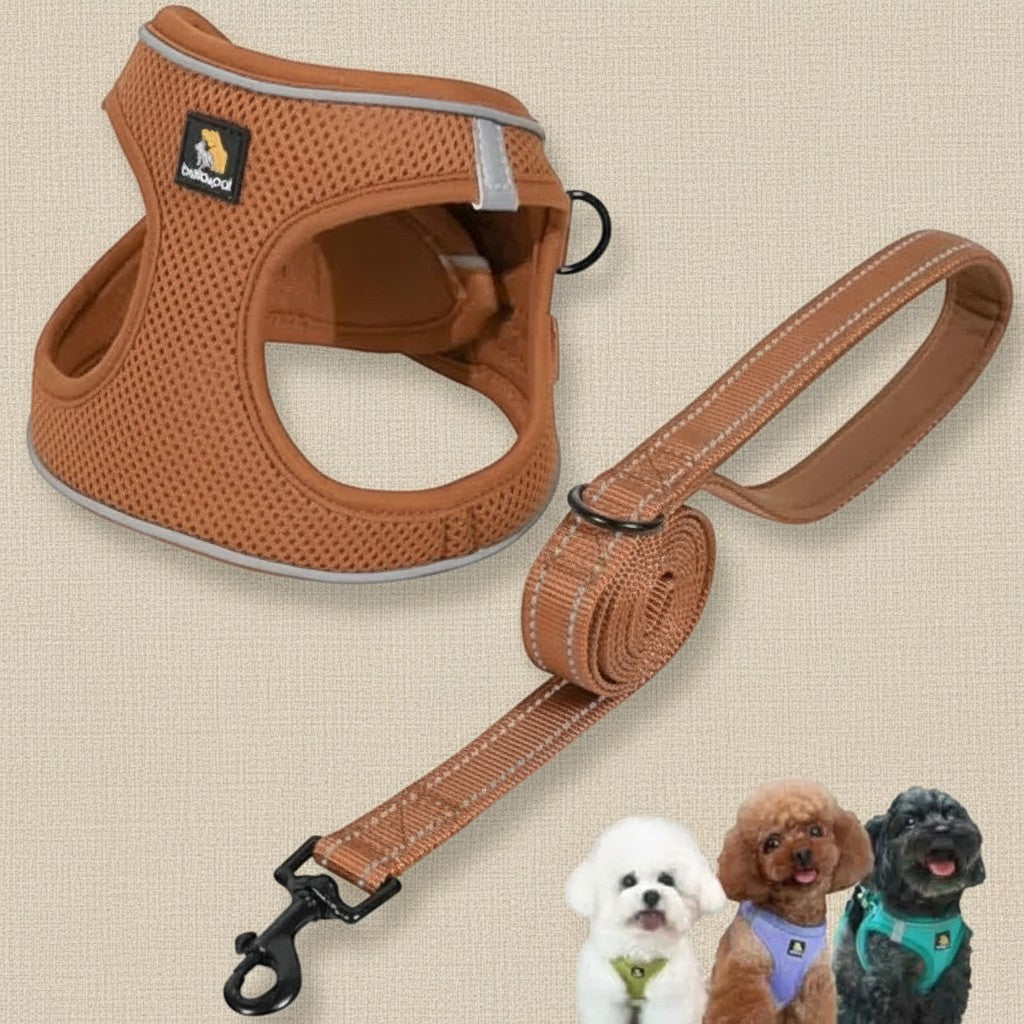 Mincy Pets brown air mesh step-in vest harness and matching leash set with reflective trim for small dogs