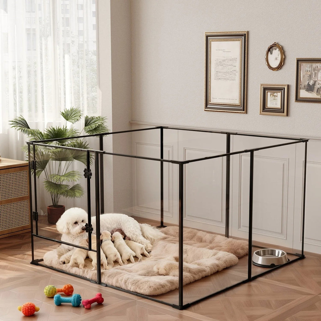 Mincy Pets 8-panel clear acrylic and black metal dog playpen with a mother dog and puppies on a plush beige mat