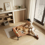 Mincy Pets elevated dog bed with cooling mesh and soft L-shaped pillow, featuring a golden retriever resting comfortably