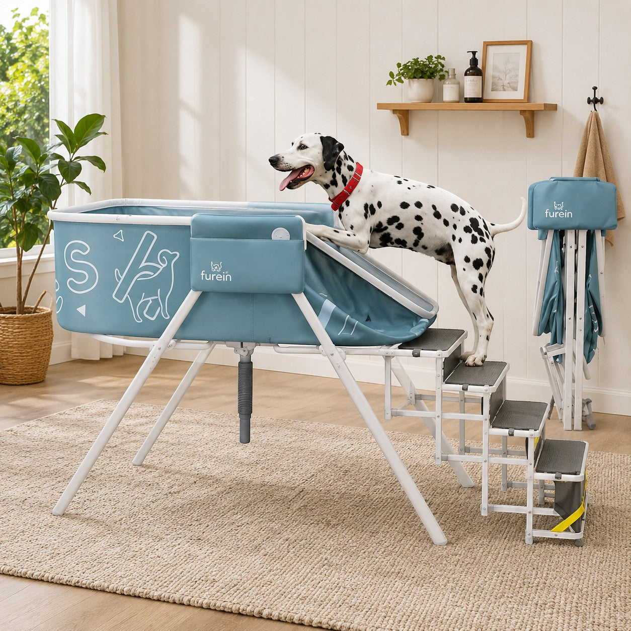 Mincy Pets elevated blue dog bath tub with foldable stairs and a Dalmatian standing on the steps in a bright room