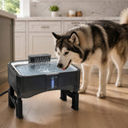 Mincy Pets elevated dog water fountain with stainless steel tray and adjustable height for large dogs in a kitchen