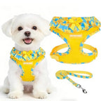 Mincy Pets blue and yellow floral dog harness and leash set with a ruffled collar and bow on a white puppy