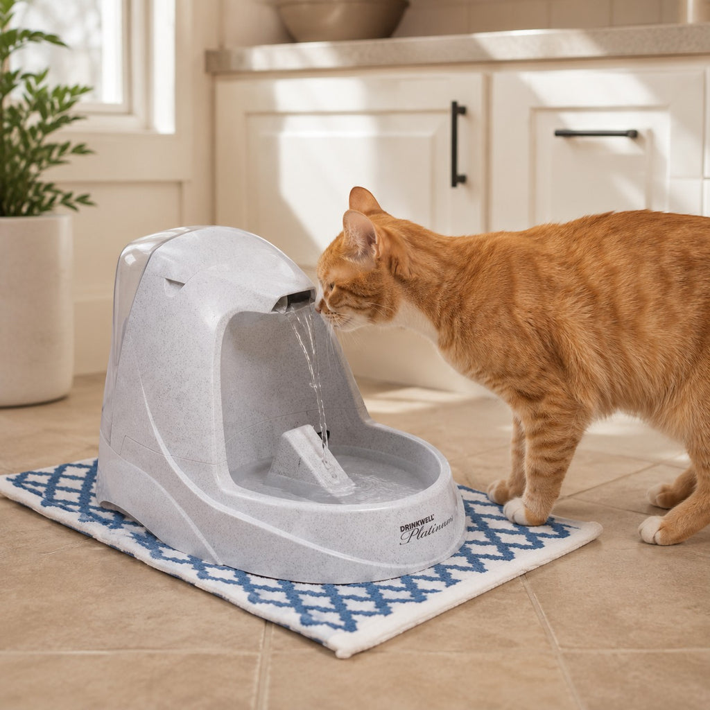 Mincy Pets grey automatic pet water fountain with a free-falling stream, being used by an orange tabby cat