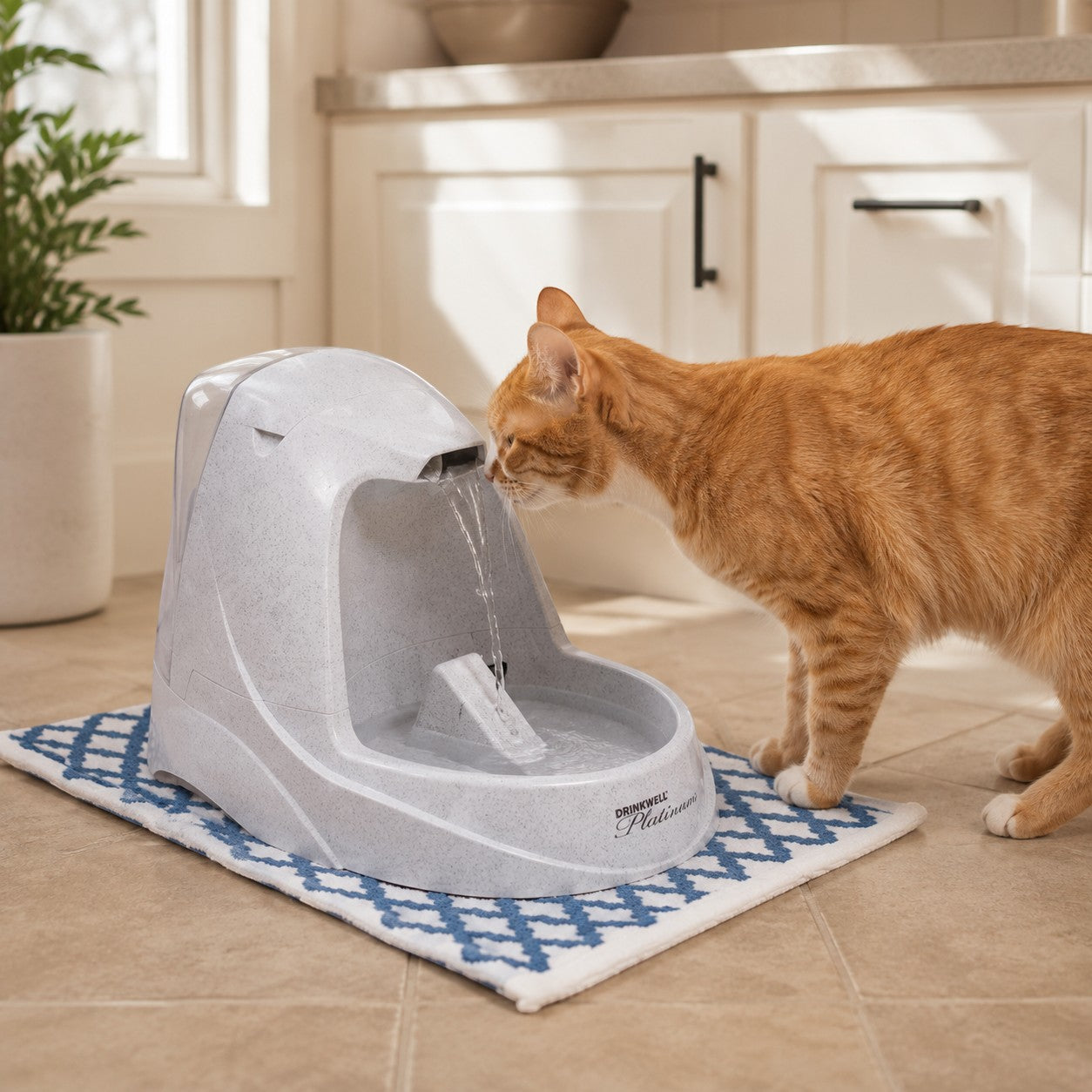 Mincy Pets grey automatic pet water fountain with a free-falling stream, being used by an orange tabby cat