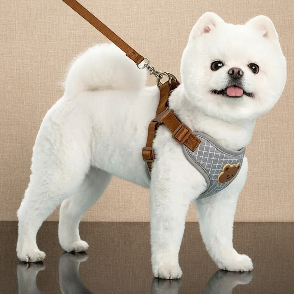 Mincy Pets breathable grey polyester dog harness with a cute bear patch and matching brown leash on a white dog