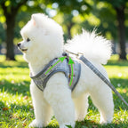 Mincy Pets grey plaid breathable nylon harness vest with matching leash on a fluffy white dog in a park