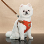 Mincy Pets dog harness and leash set in orange with a cute bear patch on a white fluffy dog